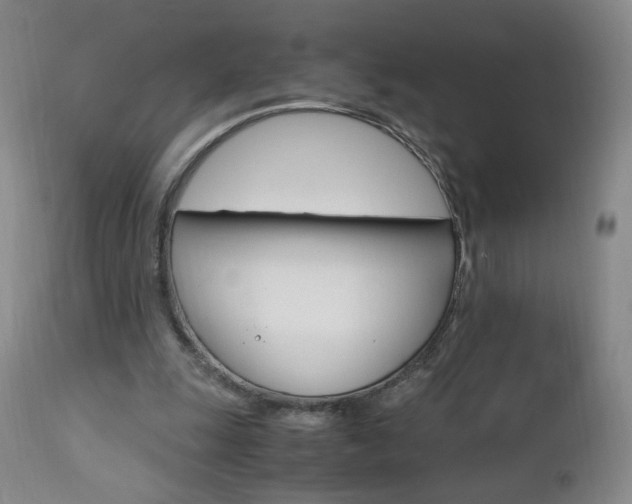 X0000112970247200908270950