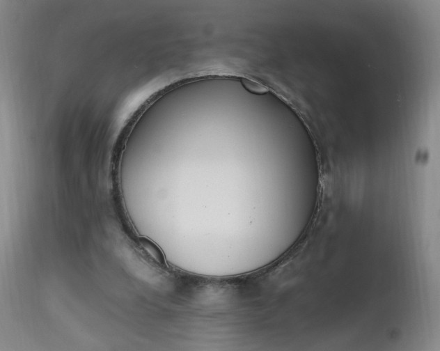 X0000112970248200908270950