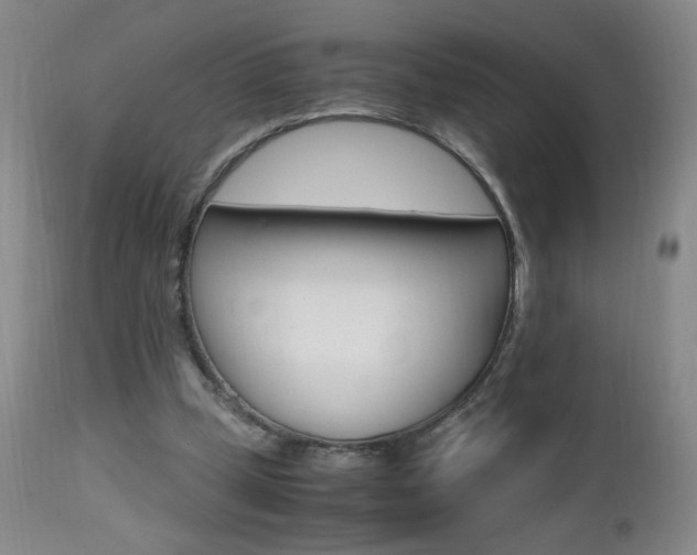 X0000112970249200908270950