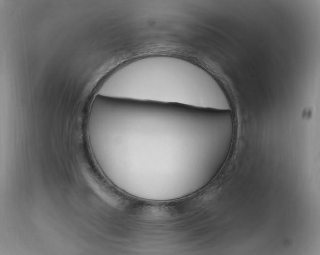 X0000112970250200908270950