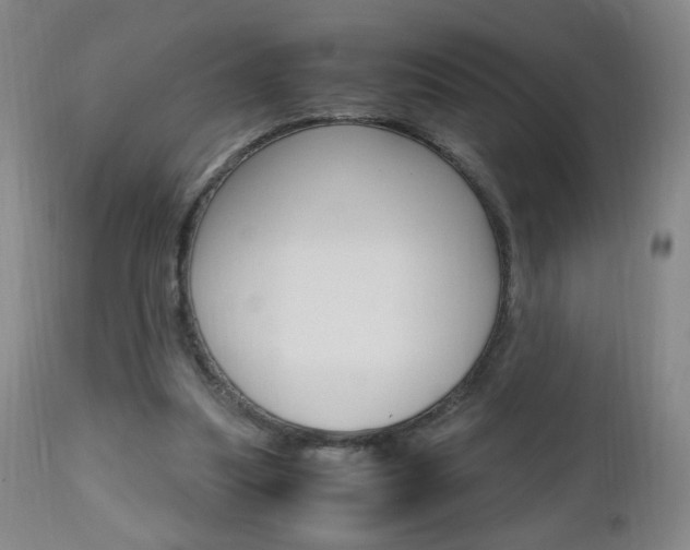 X0000112970251200908270950