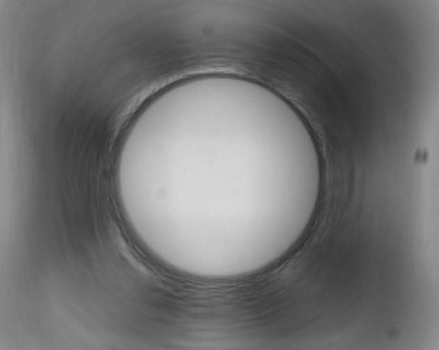 X0000112970252200908270950