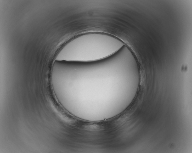 X0000112970253200908270950
