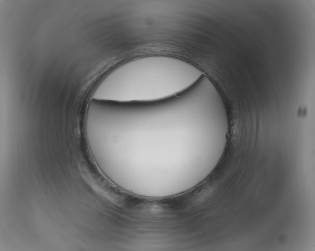 X0000112970254200908270950