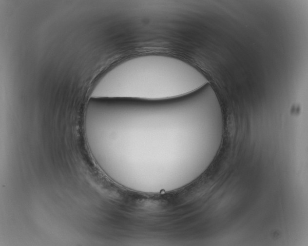 X0000112970255200908270950