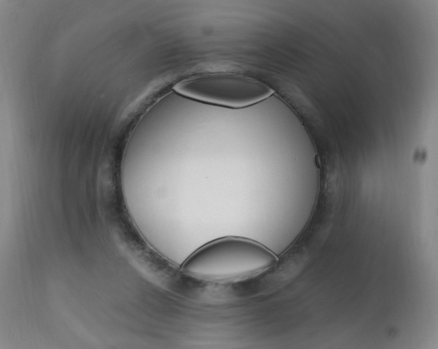 X0000112970256200908270950