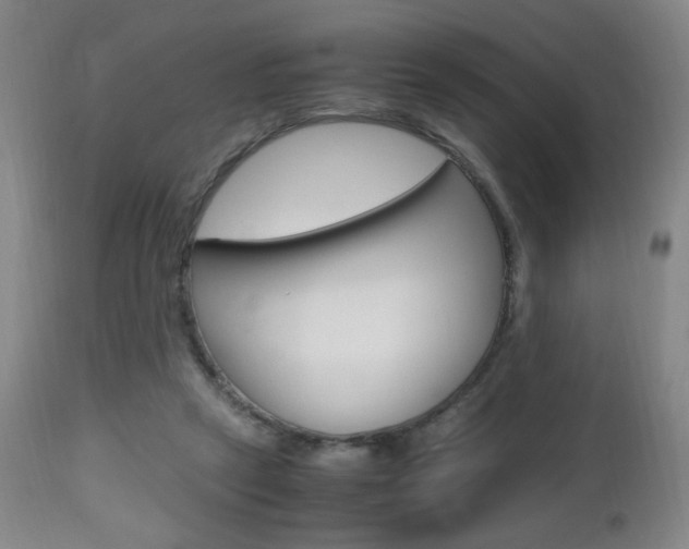 X0000112970257200908270950