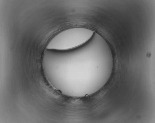 X0000112970258200908270950