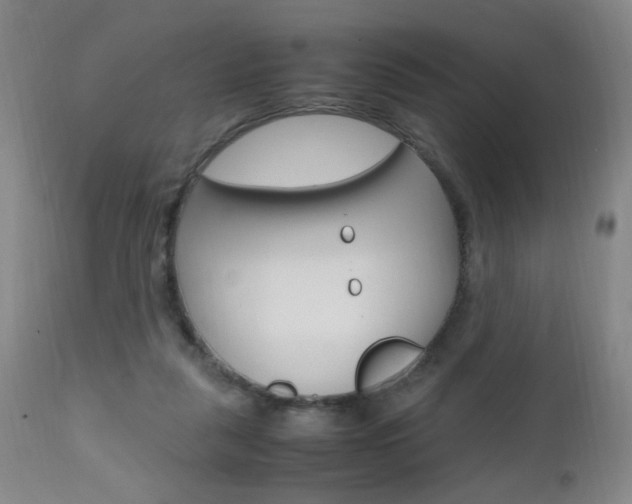 X0000112970259200908270950