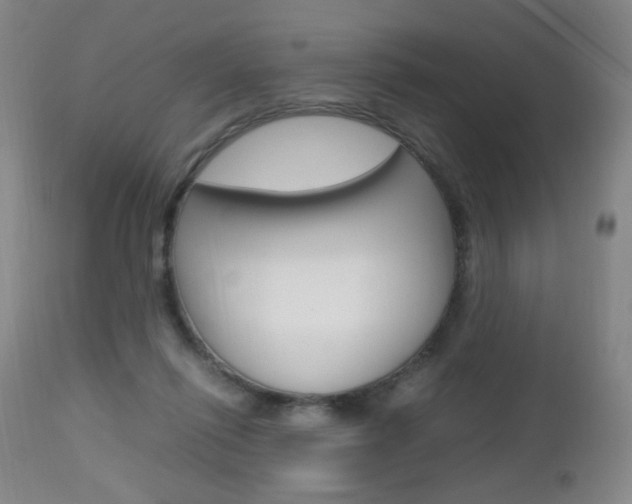 X0000112970262200908270950