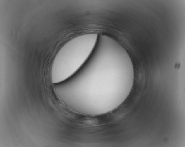 X0000112970263200908270950