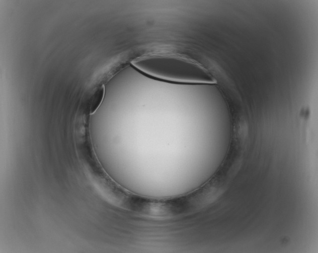 X0000112970264200908270950