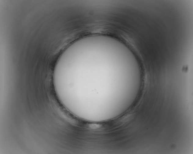 X0000112970265200908270950
