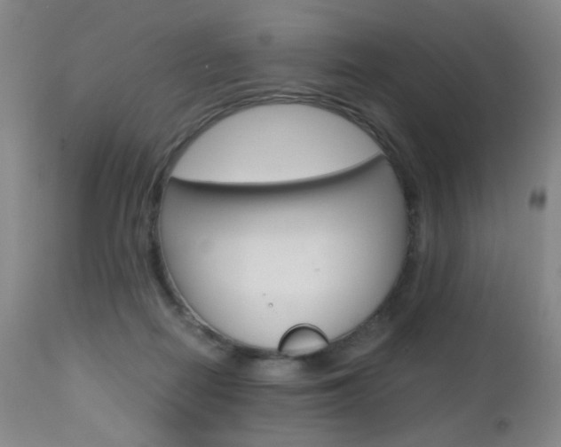 X0000112970266200908270950
