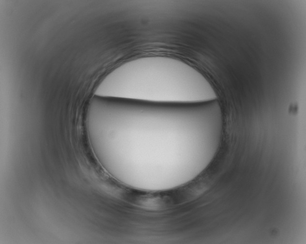 X0000112970267200908270950