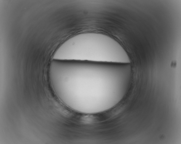 X0000112970269200908270950