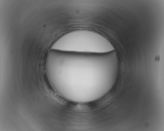 X0000112970270200908270950