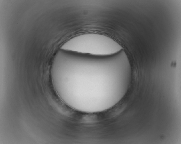 X0000112970271200908270950