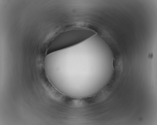 X0000112970272200908270950