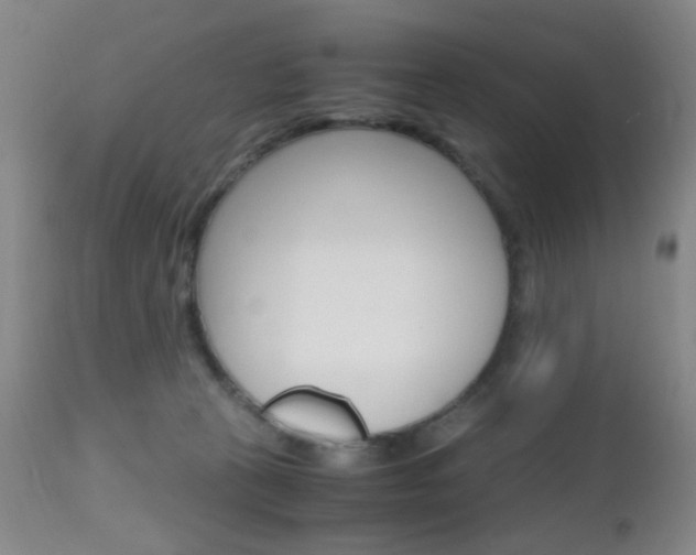 X0000112970273200908270950