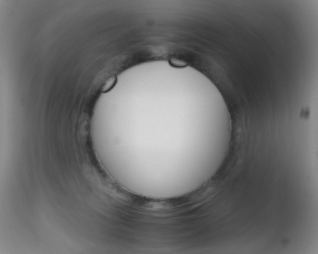 X0000112970275200908270951