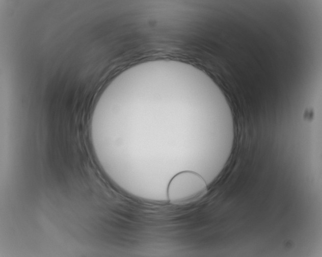 X0000112970276200908270951