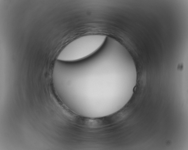 X0000112970277200908270951