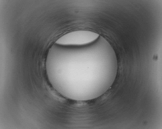 X0000112970278200908270951