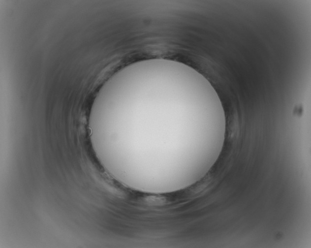 X0000112970279200908270951