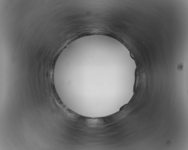 X0000112970281200908270951