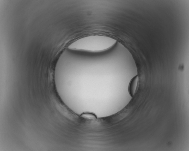X0000112970282200908270951