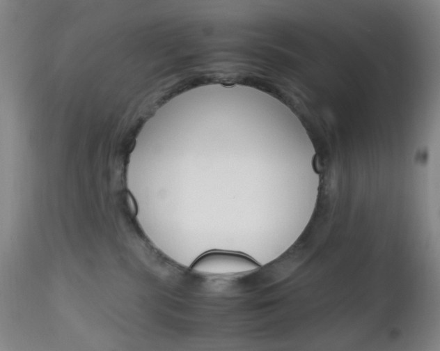 X0000112970283200908270951