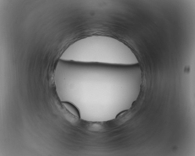 X0000112970285200908270951