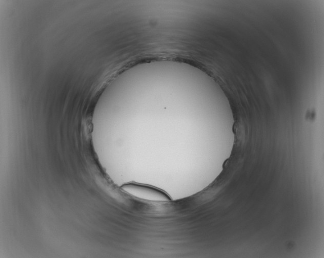 X0000112970286200908270951