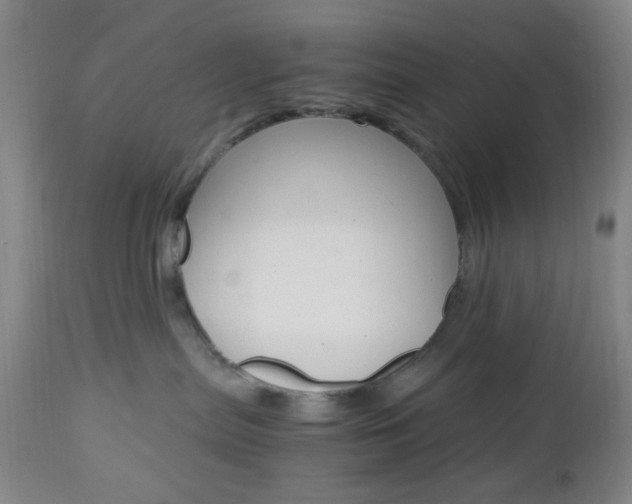 X0000112970287200908270951