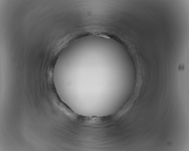 X0000112970288200908270951