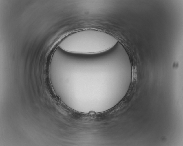 X0000112970291200908270950