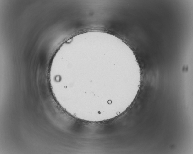 X0000112970293200908270950