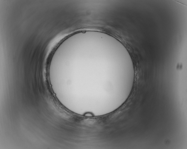 X0000112970294200908270950