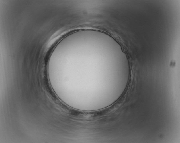 X0000112970295200908270950