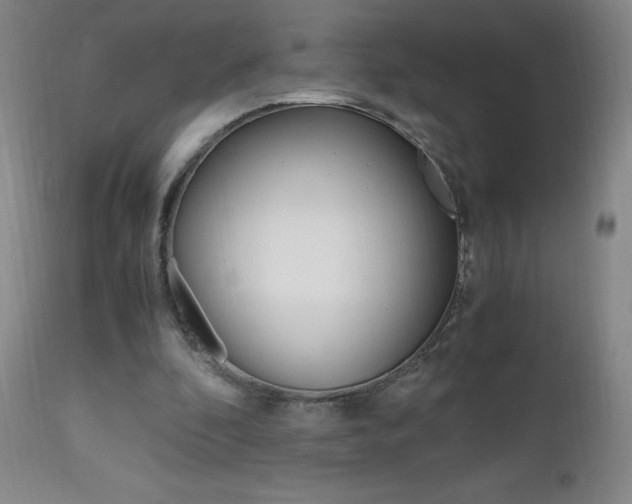 X0000112970296200908270950