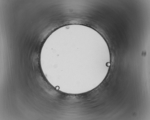 X0000112970297200908270950