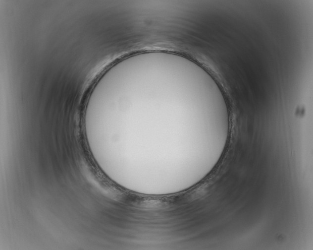X0000112970298200908270950
