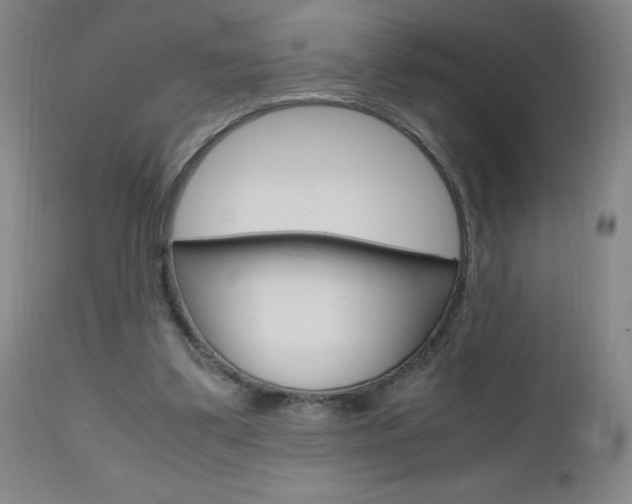 X0000112970299200908270950