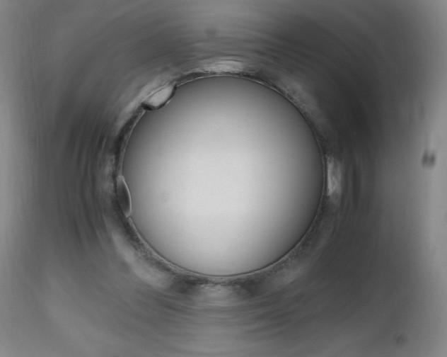 X0000112970300200908270950
