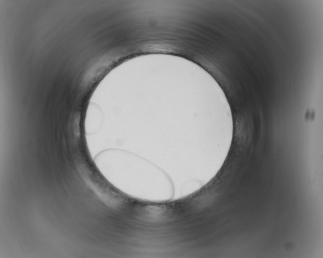 X0000112970302200908270950