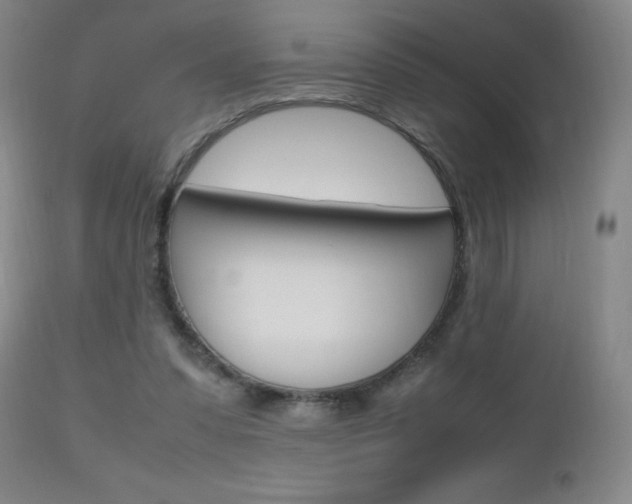 X0000112970303200908270950