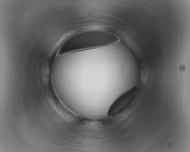 X0000112970304200908270950
