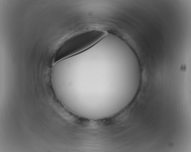 X0000112970305200908270950