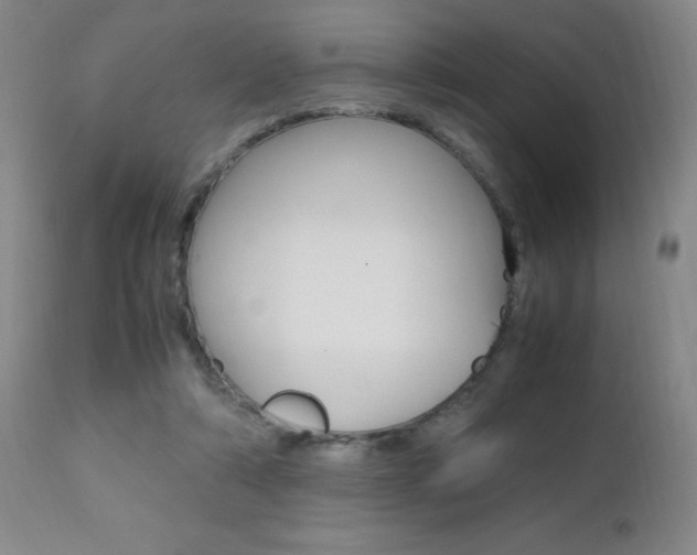 X0000112970306200908270949